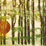 Foret / Metsä