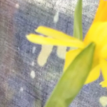 cropped-Iloista-pääsiäistä.png