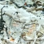 cropped-Scrap-Art-sarja-nro-V-detail-1-1.jpg