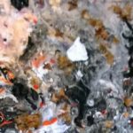 cropped-WP_20170902_12_38_13_Pro__highres-2.jpg