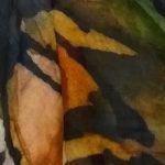cropped-WP_20180316_11_20_02_Pro-1.jpg